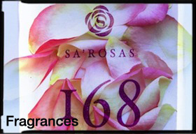 ANTEPRIMA-168--SCRITTA